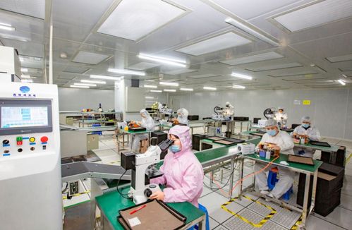 奮進(jìn)在春光里 電子信息產(chǎn)業(yè)滿園春色，信息技術(shù)咨詢服務(wù)賦能向海圖強(qiáng)